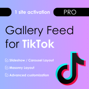 Gallery Feed for TikTok Plugin Pro 1 Website