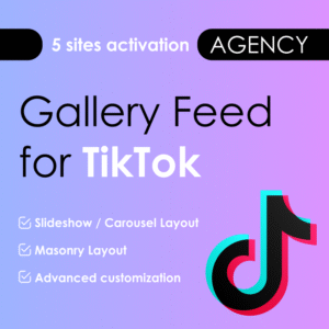 Gallery Feed for TikTok Plugin Pro 5 Websites